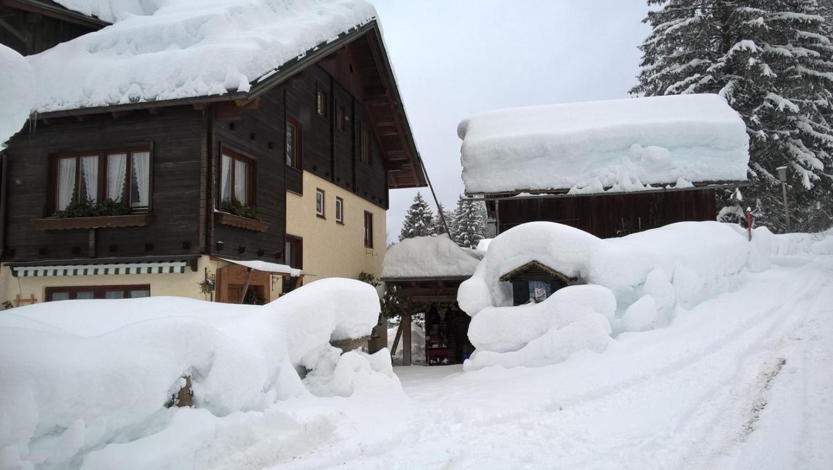 Apartment Bleisch Gosau